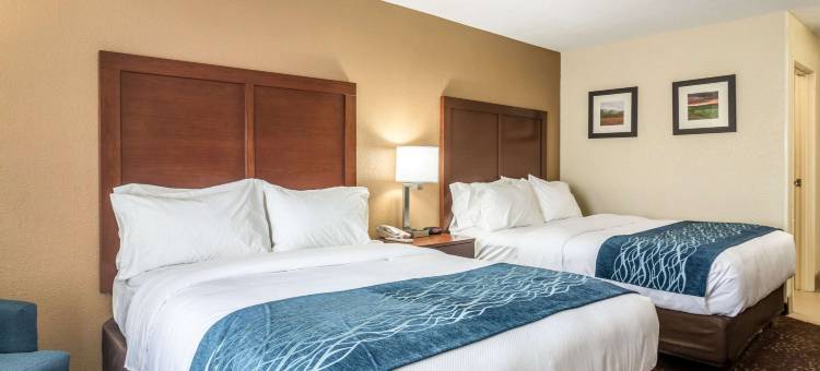 汉尼拔舒适套房酒店(Comfort Inn & Suites - Hannibal)图片