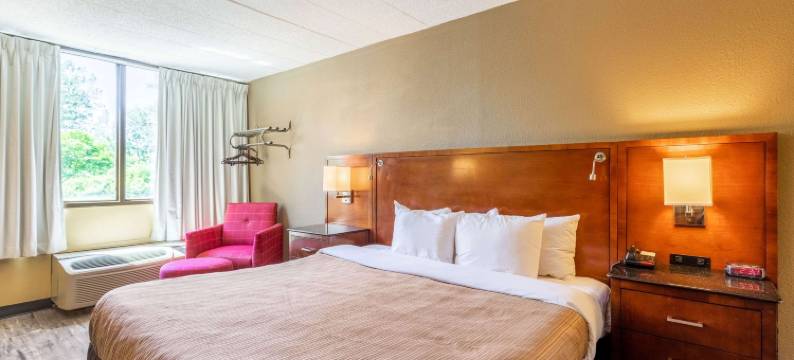 Americas Best Value Inn Fredonia NY图片