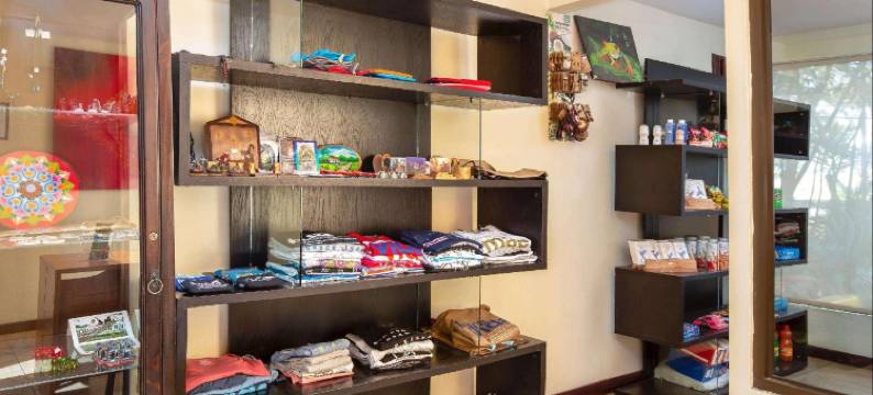 哥斯达黎加圣何塞机场丽怡酒店(Country Inn Suites by Radisson San Jose Aero)图片