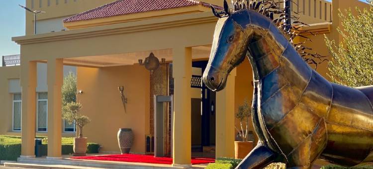 马拉喀什奥利瓦尔宫酒店(El Olivar Palace)图片