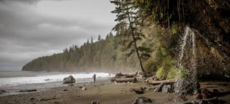 Fish Tales Cottage图片