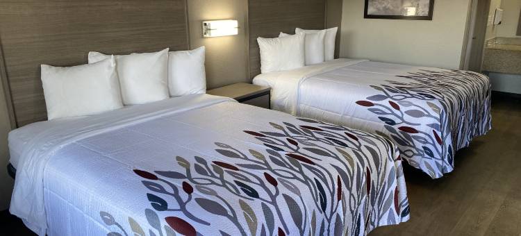 阿拉巴马杰克逊维红屋顶酒店(Red Roof Inn Jacksonville, Al)图片