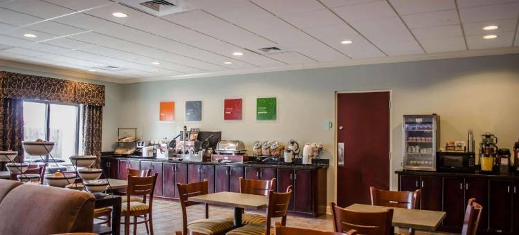 舒适套房酒店(Comfort Inn & Suites)图片