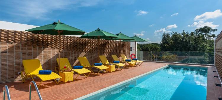 宜必思清迈宁曼街旅游中心酒店(ibis Chiang Mai Nimman Journeyhub)图片