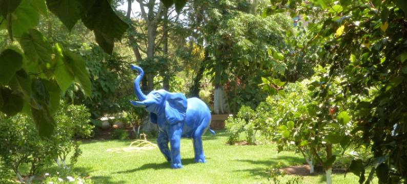 拉威拉蔓特林酒店(La Villa Mandarine)图片