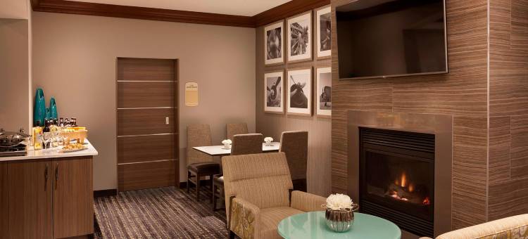 多伦多机场Residence Inn 酒店(Residence Inn Toronto Airport)图片