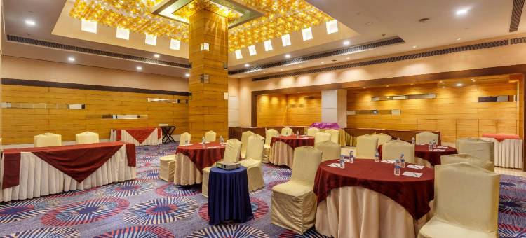 新德里哈里纳加尔金色郁金香酒店(Golden Tulip New Delhi - Hari Nagar)图片
