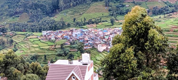 西帕的隐秘度假屋(Sipa's HideOut)图片