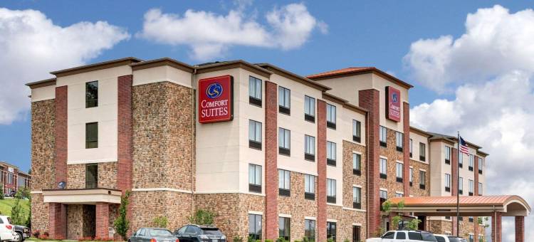 舒适套房酒店-桥港市克拉克斯堡(Comfort Suites Bridgeport - Clarksburg)图片