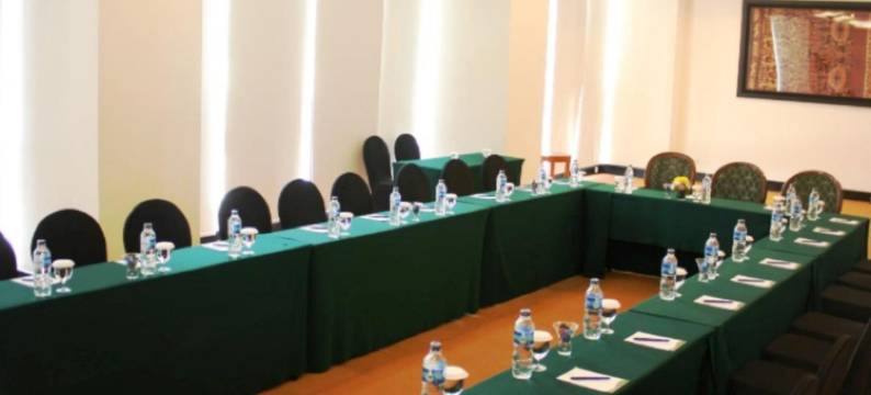 巨港半岛酒店(Sintesa Peninsula Hotel)图片