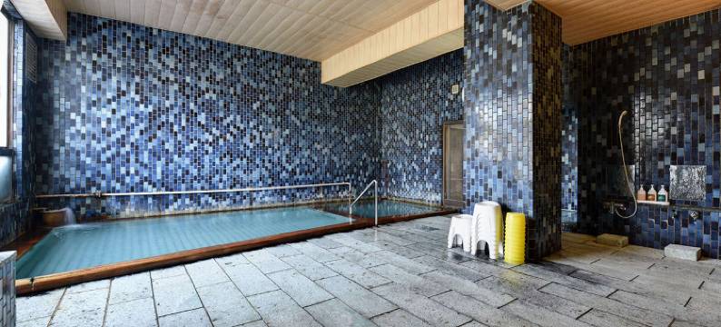 森岳温泉 森山館(Hotel Moriyamakan)图片