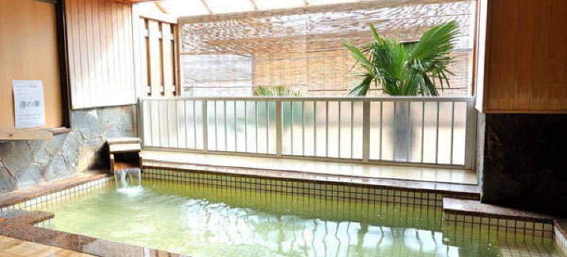 天然温泉・健康乐园酒店 绿馆(Sauna and Hotel Midori Kan)图片