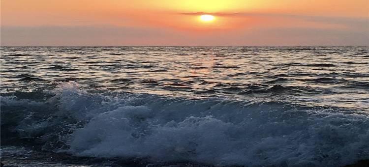 东伊豆旅馆滨汤(Guest House Hamayu)图片