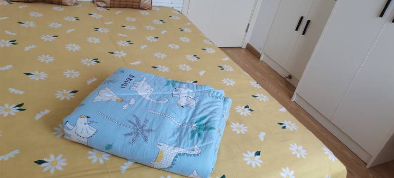 房东阿雪姐姐公寓(鄂城大道分店)图片