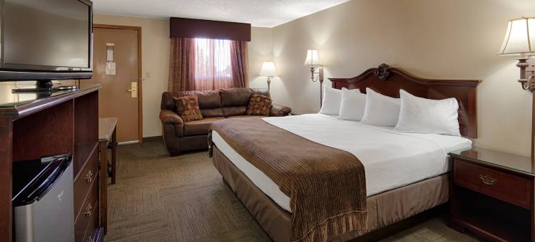 涛驰莱德贝斯特韦斯特酒店(Best Western Torchlite)图片