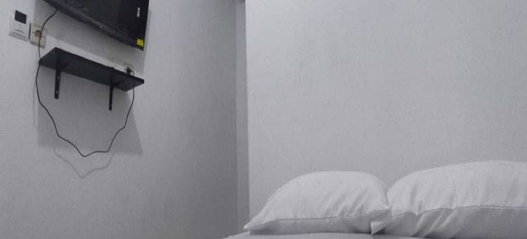 Lion Guesthouse图片