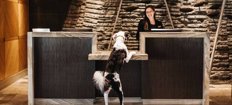 温哥华机场航站楼费尔蒙酒店(Fairmont Vancouver Airport)图片