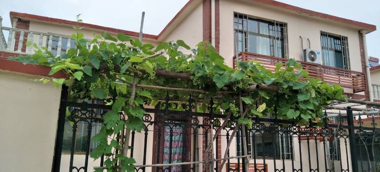西柏坡桃花源民宿(岭北路分店)图片
