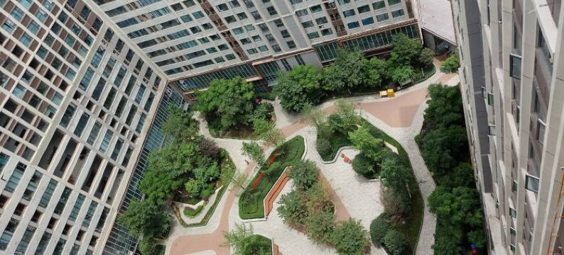 乐橙予舍公寓(椿树街分店)图片