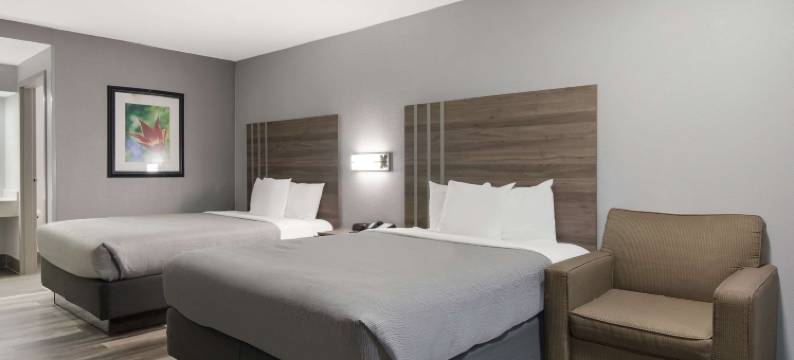 和会议中心附近凯艺酒店(Quality Inn Near Casinos and Convention Center)图片