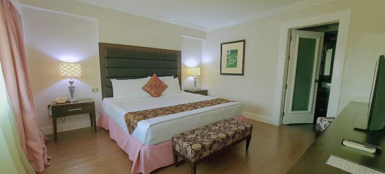 菲斯塔花园酒店(Fiesta Garden Hotel)图片