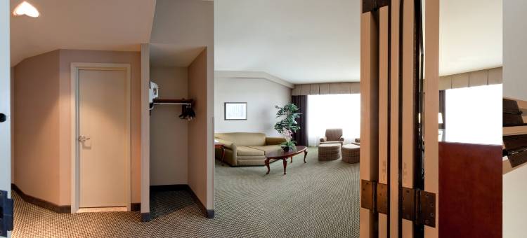 奥斯汀镇湖假日酒店(Holiday Inn Austin -Town Lake)图片