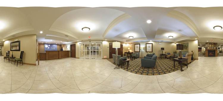 智选假日套房酒店芝加哥南兰辛(Holiday Inn Express & Suites Chicago South Lansing)图片