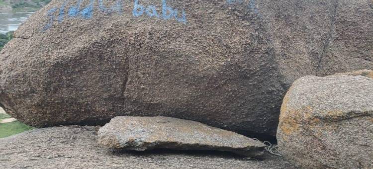 Q 芒果度假村(Q Mango Resort)图片