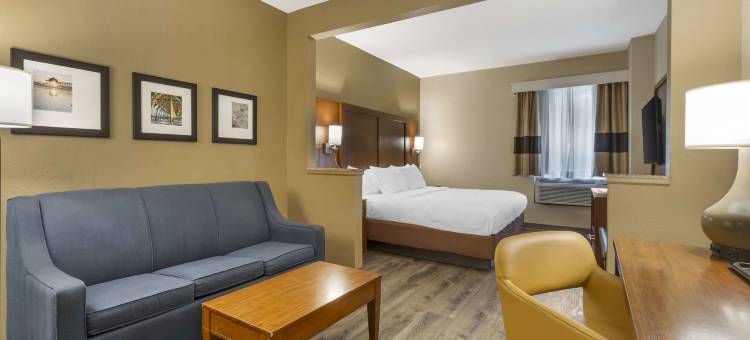 舒适套房酒店-大学(Comfort Suites at the University)图片