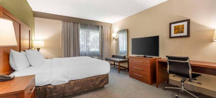 勒维尔坎伯兰舒适套房酒店(Comfort Inn & Suites LaVale - Cumberland)图片