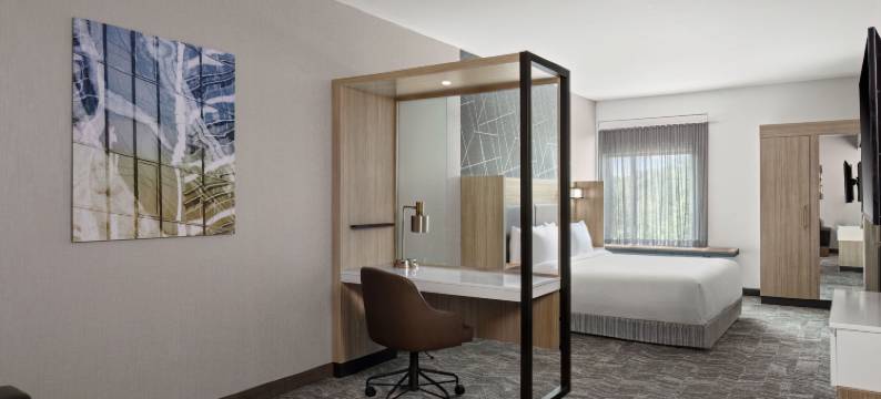 拉马祖港口春希尔套房酒店(SpringHill Suites Kalamazoo Portage)图片