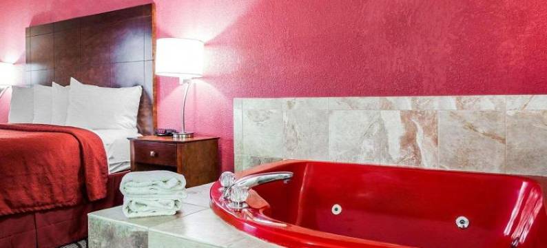 品质酒店及套房-阿尔图纳-得梅因(Quality Inn & Suites Altoona - des Moines)图片