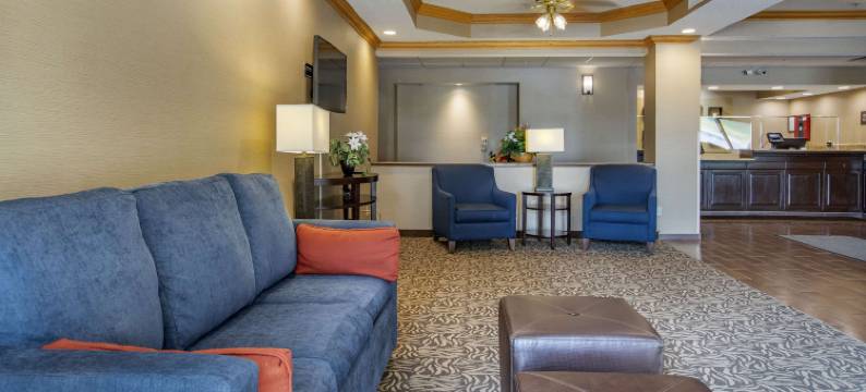 舒适酒店(Comfort Inn Charlotte)图片