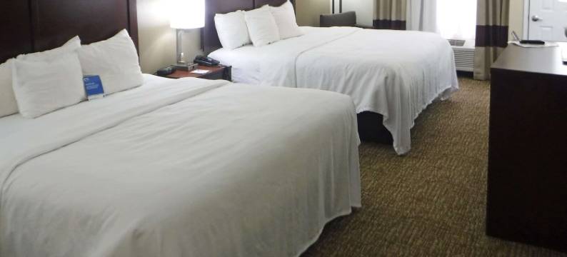 新河舒适酒店(Comfort Inn New River)图片