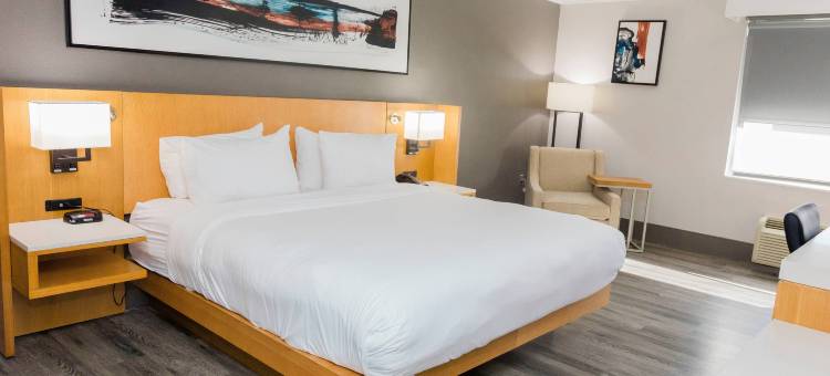 哥伦比亚万豪东北德尔塔酒店(Delta Hotels Columbia Northeast)图片