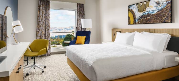 森尼维耳希尔顿花园酒店(Hilton Garden Inn Sunnyvale)图片