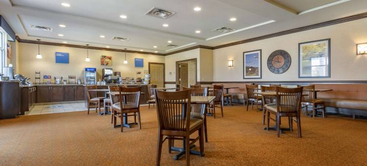 舒适套房酒店(Comfort Inn & Suites)图片