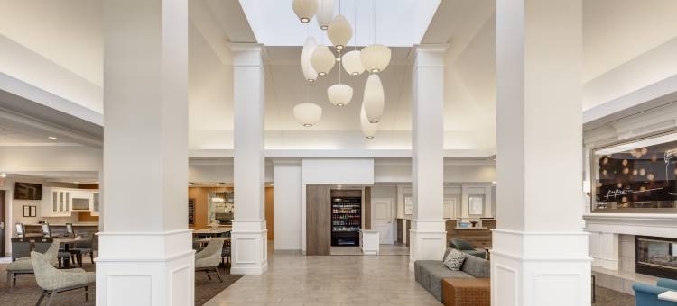 达拉斯艾伦希尔顿花园酒店(Hilton Garden Inn Dallas/Allen)图片