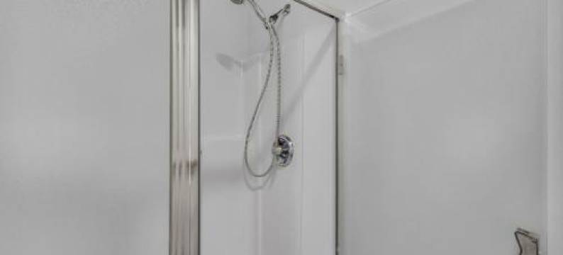 比特恩 - 单元4(Bittern - Unit 4)图片