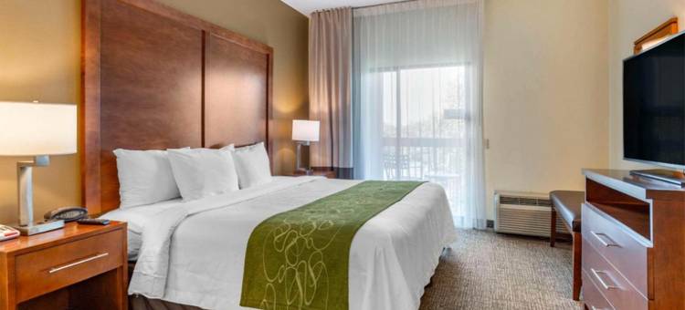 利斯堡历史区智选假日酒店(Holiday Inn Express & Suites Leesburg - Historic District)图片