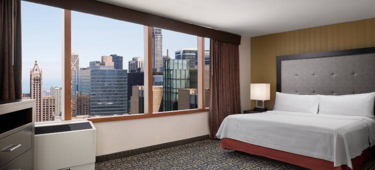 芝加哥中心壮丽大道Homewood Suites by Hilton(Homewood Suites by Hilton Chicago Downtown/Magnificent Mile)图片