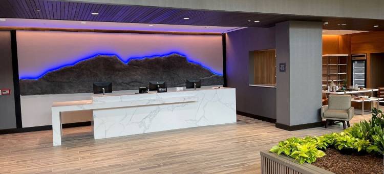 阿尔法利塔翡翠希尔顿安泊酒店(Embassy Suites by Hilton Alpharetta Halcyon)图片