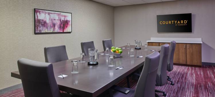 芝加哥-奥克布鲁克特莱斯露台万怡酒店(Courtyard Chicago Oakbrook Terrace)图片