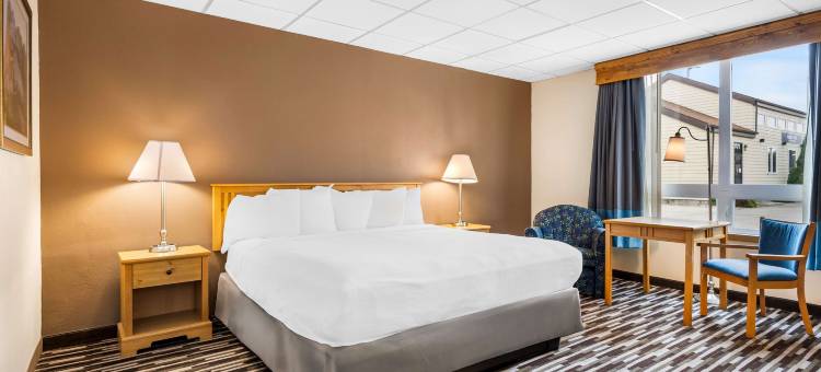 张伯伦李斯贝斯特韦斯特酒店(Best Western Lees Motor Inn)图片