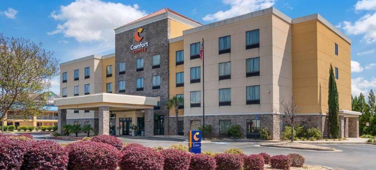 拜伦华纳罗宾斯舒适套房酒店(Comfort Suites Byron Warner Robins)图片