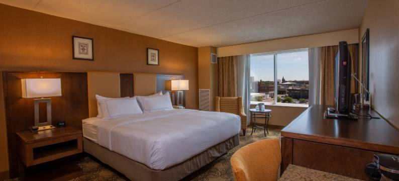 贝城河滨希尔顿逸林酒店(DoubleTree by Hilton Hotel Bay City-Riverfront)图片