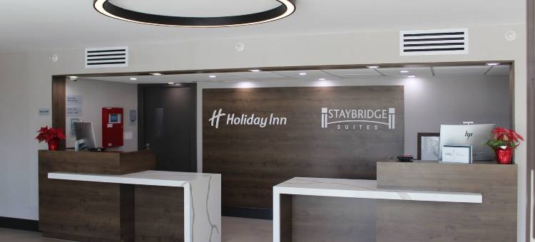 达拉斯市场中心爱田假日酒店(Holiday Inn DALLAS MARKET CTR LOVE FIELD)图片