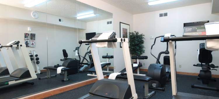 丽笙乡村套房酒店-俄亥俄州哥伦布机场(Country Inn & Suites by Radisson, Columbus Airport, Oh)图片