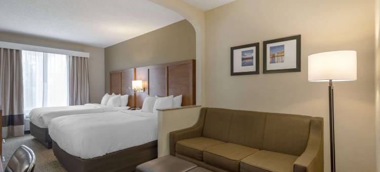 哥伦布州立大学舒适套房酒店(Comfort Suites Columbus State University Area)图片