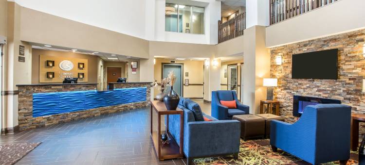 斯普林菲尔德舒适套房酒店(Comfort Suites)图片